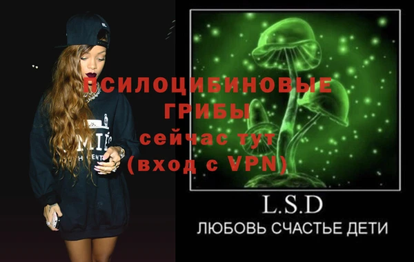 бошки Новозыбков
