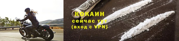 гашик Новодвинск