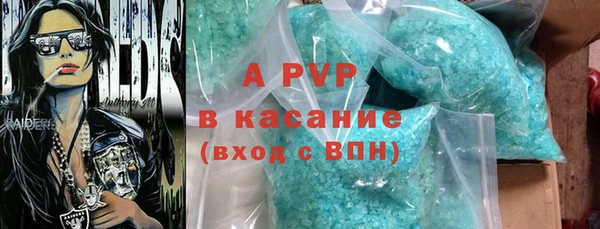 гашик Новодвинск
