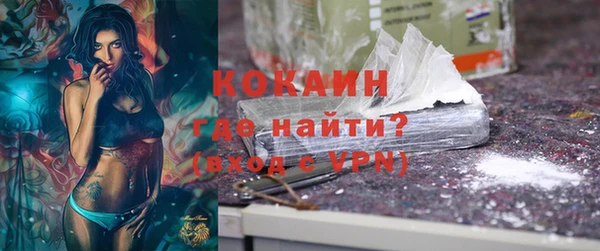 гашик Новодвинск
