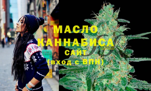 гашик Новодвинск