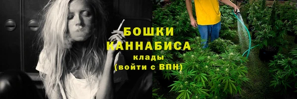 гашик Новодвинск