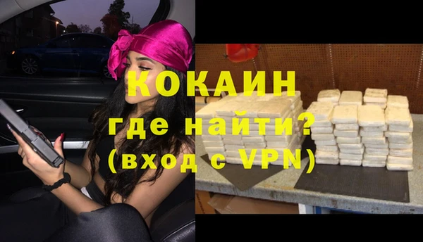 гашик Новодвинск