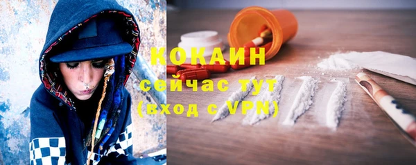 бошки Новозыбков