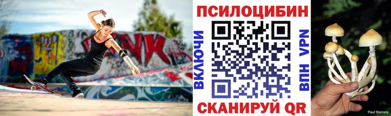 MEGA   Фролово  Псилоцибиновые грибы Psilocybe  хочу наркоту 