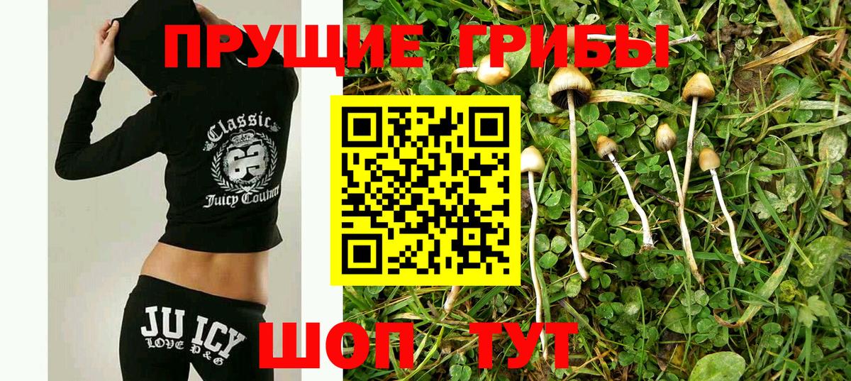 Псилоцибиновые грибы MAGIC MUSHROOMS Фролово